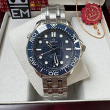 Omega Seamaster Professional – Blue/Steel