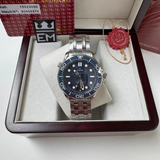 Omega Seamaster Professional – Blue/Steel