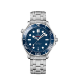 Omega Seamaster Professional – Blue/Steel