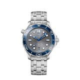 Omega Seamaster Professional – Gray/Blue